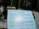 DSCN0703.JPG