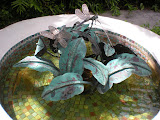 DSCN0738.JPG