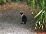 DSCN0740.JPG