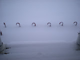 DSCN0915.JPG