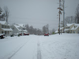 DSCN0919.JPG