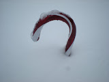 DSCN0920.JPG