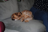 Aly sleeping through all of the shenanigans.