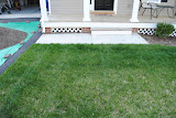 Before shots of the grass.