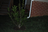 DSC_0019.JPG