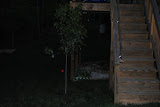 DSC_0020.JPG