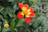 DSC_0063.JPG