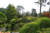 DSC_0033.JPG