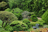 DSC_0037.JPG
