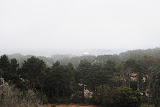 DSC_0184.JPG