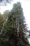 DSC_0219.JPG
