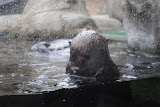 DSC_0394.JPG