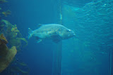 DSC_0401.JPG