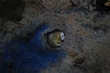 DSC_0405.JPG