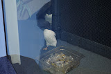 DSC_0414.JPG