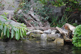 DSC_0425.JPG
