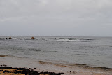 DSC_0472.JPG
