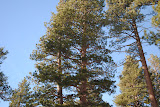 DSC_0076.JPG