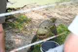 DSC_0063.JPG