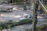 DSC_0105.JPG