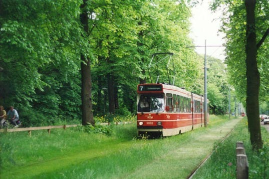 [grasstram-ed05[2].jpg]