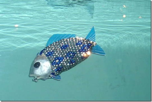 roboticfish-5
