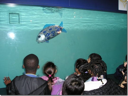 roboticfish-1