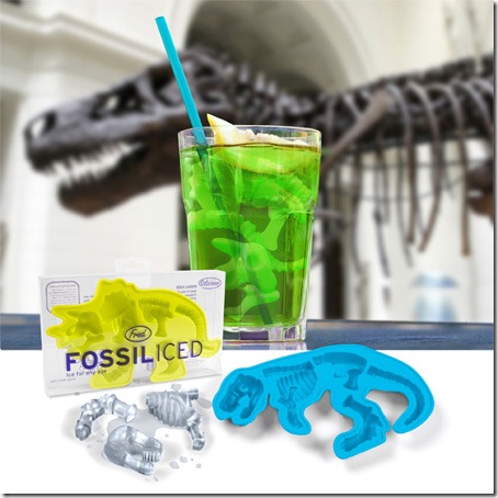 icecubetrays05