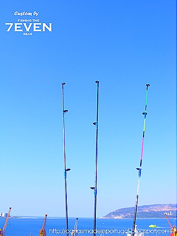 [zephyrusponteiras6.jpg]