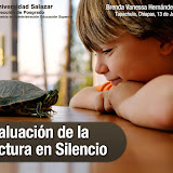20090611 Presentación de PowerPoint