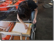 DSCF0881