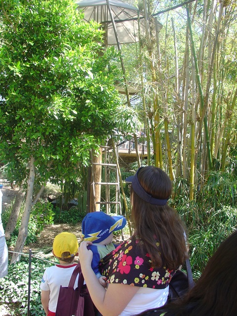 [2009 march zoo 008[3].jpg]