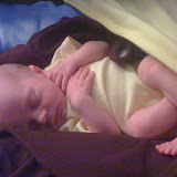 Evelyn 1-8-10