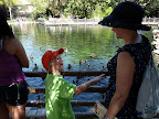 Hey, let's feed the ducks!