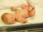Evelyn Scale