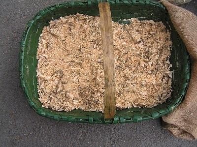 [quisquilla viruta[3].jpg]