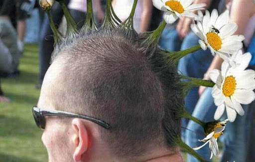 hairstyle extreme