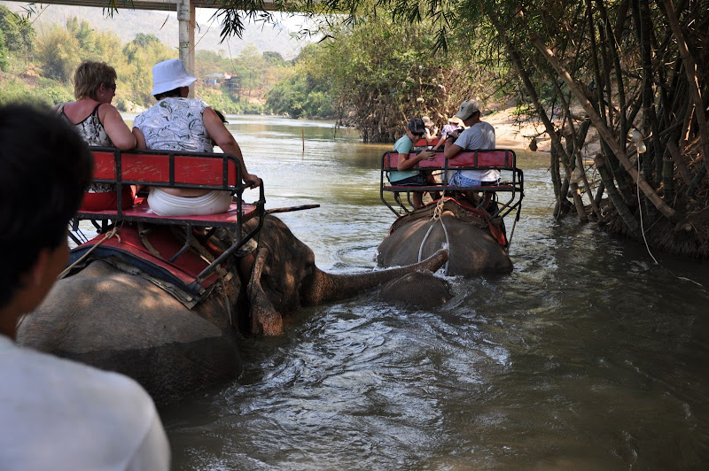 Форсируем реку Квай на слонах
