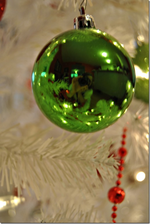 12 19 10_0138 copy