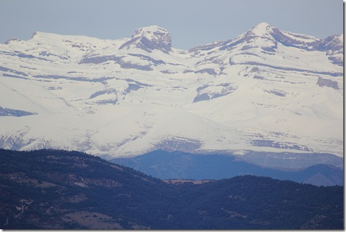 IMG_0095 IMG_0095
