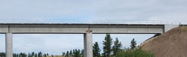 [Chèvres sur un pont-3[2].jpg]