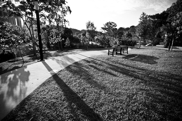 [IMG_7215[4].jpg]