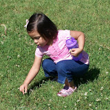 100_1369.jpg