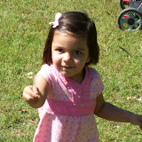 100_1375.jpg