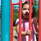 100_1415.jpg