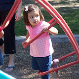 100_1431.jpg