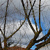 Simply Branching Simply Branching