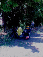 P6250650.JPG