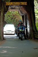 074_edited-1 - Copy.jpg