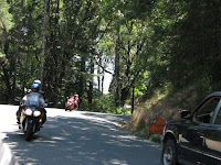 IMG_2955.JPG